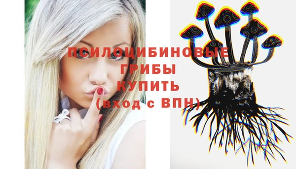 2c-b Алексин